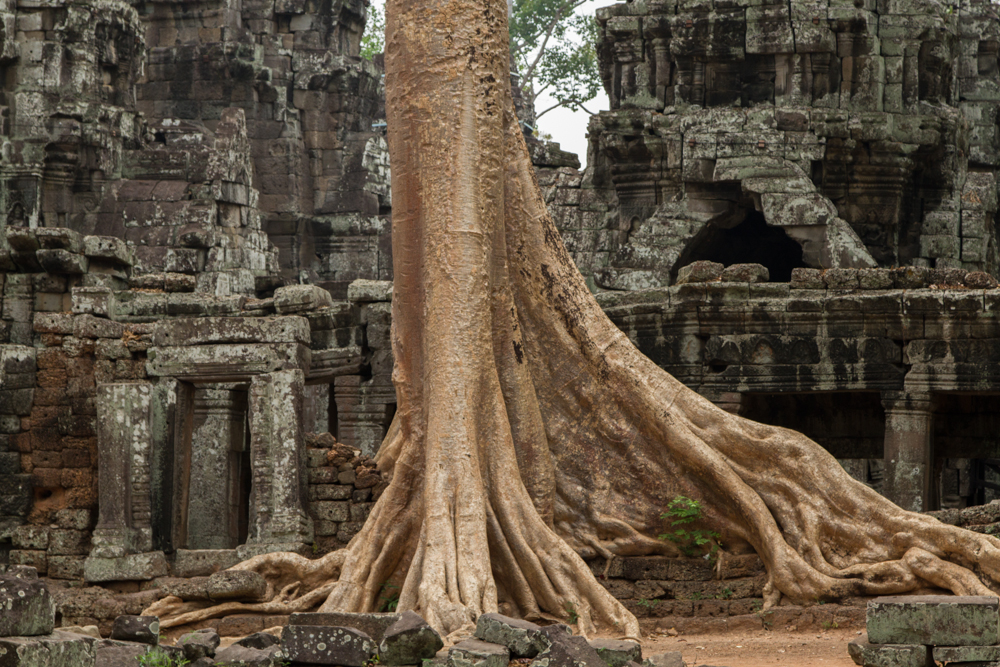 siem reap